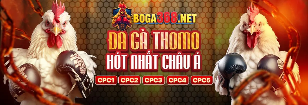 Trải nghiệm đá gà trực tuyến đỉnh cao tại gàcam67